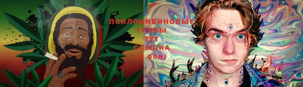 гидропоника Алексин