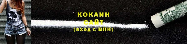 ешки Алзамай