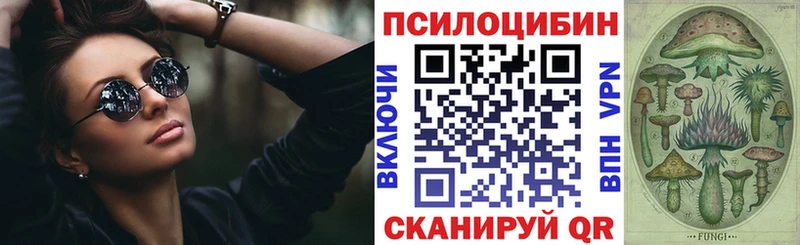 Галлюциногенные грибы Psilocybe Касимов