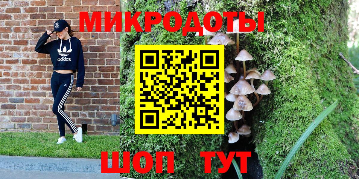 Касимов  Псилоцибиновые грибы GOLDEN TEACHER  Псилоцибиновые грибы MAGIC MUSHROOMS  Вход с VPN 