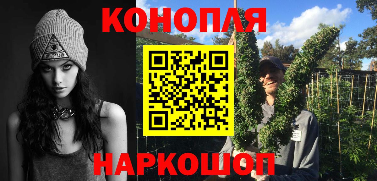 Бошки Шишки тримм  МАРИХУАНА марихуана  Конопля сатива  Вход с VPN  Касимов 